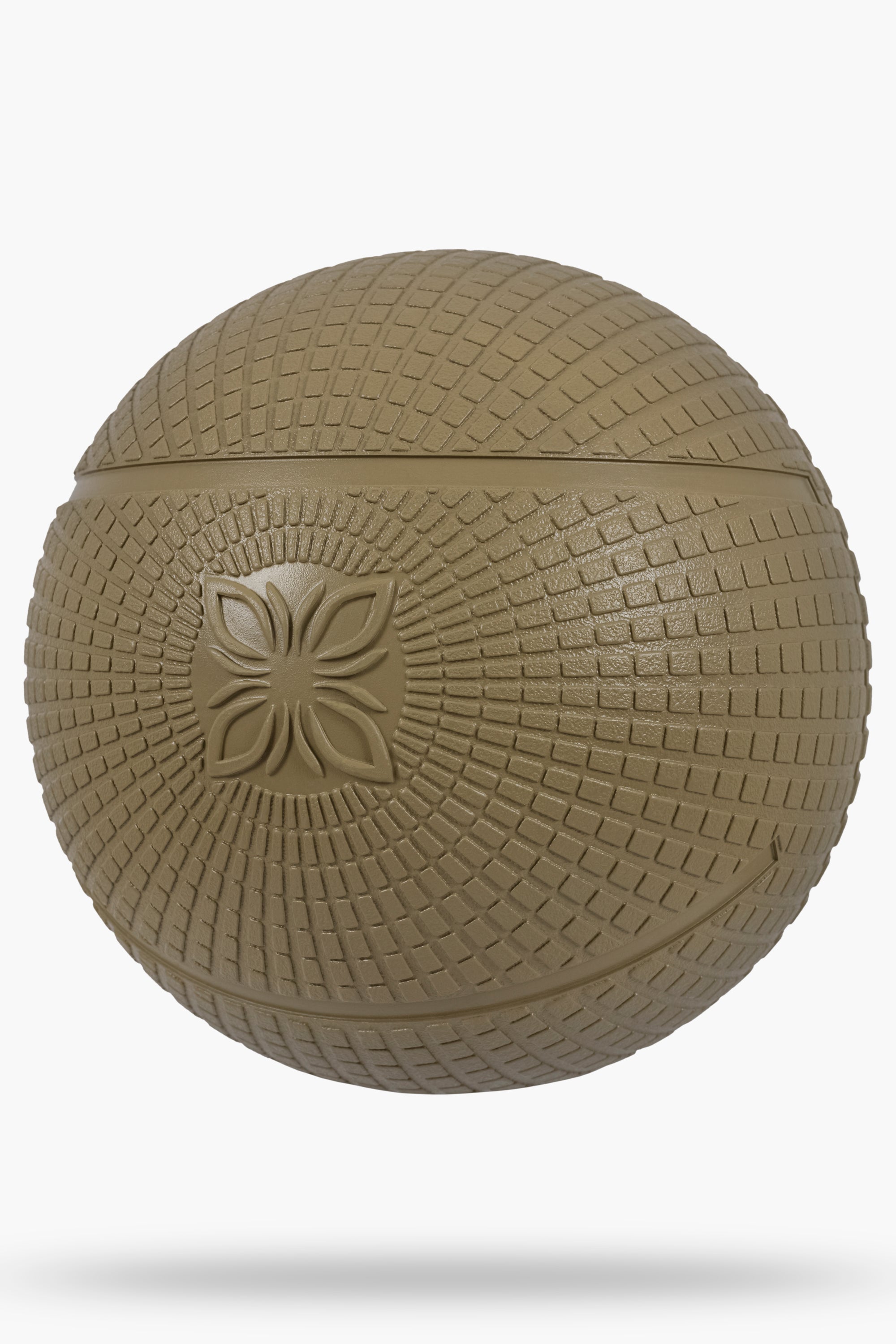 ORBIT Medizinball